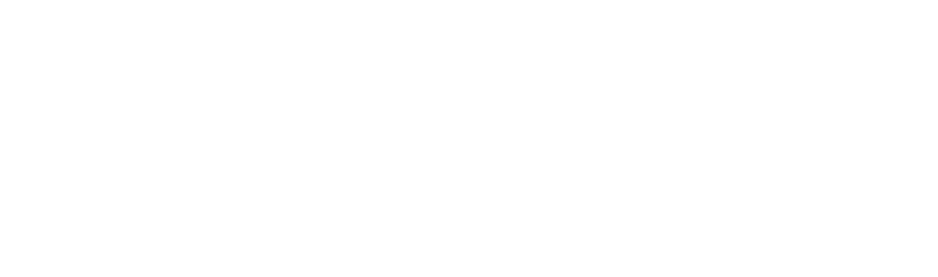 Legal Netlink Alliance footer logo